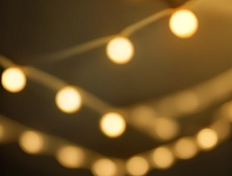 Festoon Canopy Package